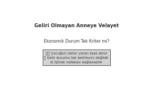Ankara geliri olmayan anne velayet davası avukat