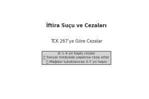 İftira suçu cezası Ankara ceza avukatı TCK 267